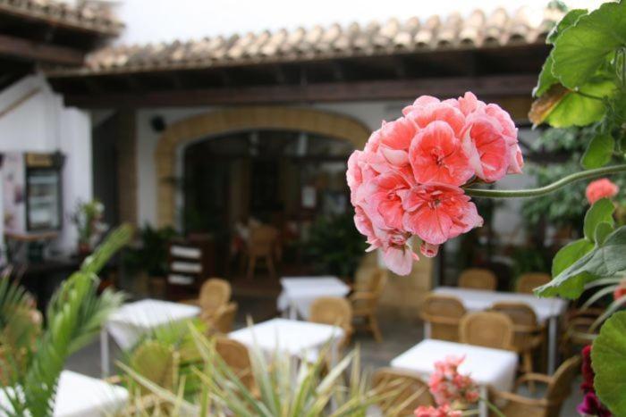 Hostal Torre De Guzman Conil de la Frontera Kültér fotó