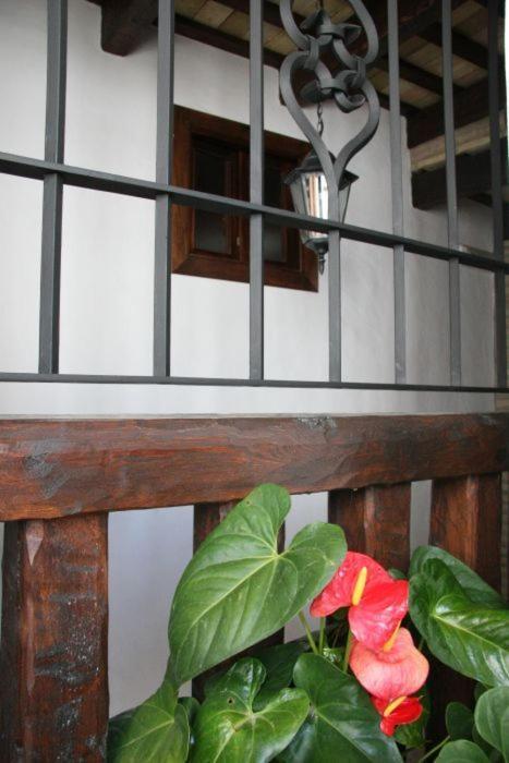 Hostal Torre De Guzman Conil de la Frontera Kültér fotó